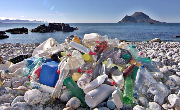 Plastic Eaters; the biological way towards waste management