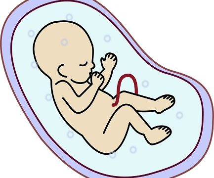 American Scientists successfully use CRISPR and In vitro fertilization (IVF) technology to create the country's first genetically modified embryo