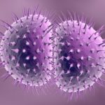 Multidrug resistance Gonorrhea superbug is now a reality!