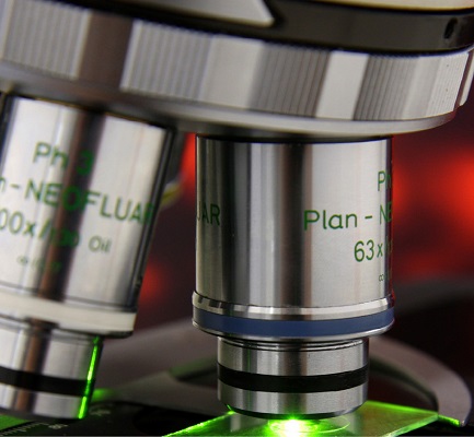 The 3Qs of Confocal Laser Scanning Microscopy