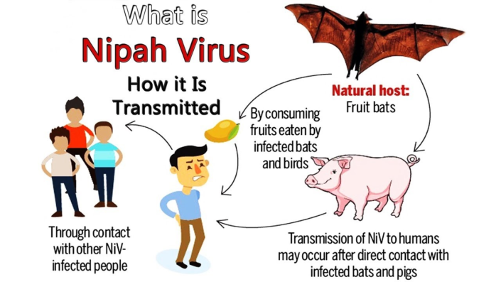 Nipah Virus – The Journey from Malaysia to Kerala