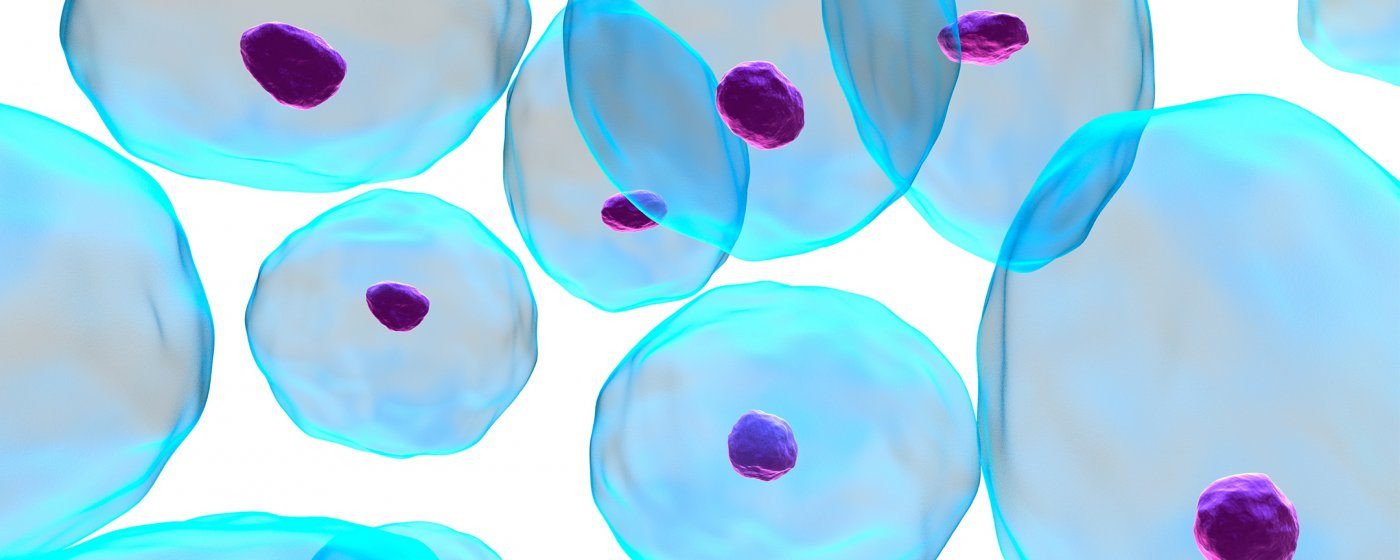 Stem Cell Technology- The future of Cancer Therapy?