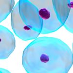 Stem Cell Technology- The future of Cancer Therapy?