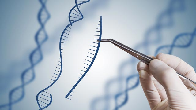 CRISPR-Cas9 gene editing