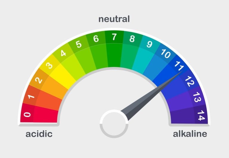 how-does-a-ph-meter-work-biomall-blog