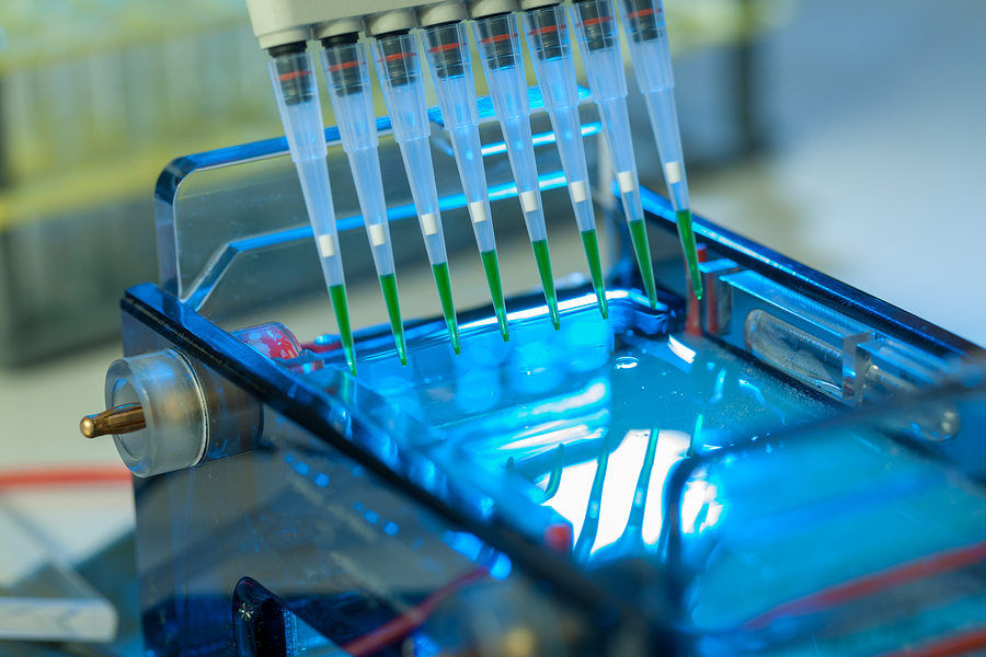 research articles about gel electrophoresis