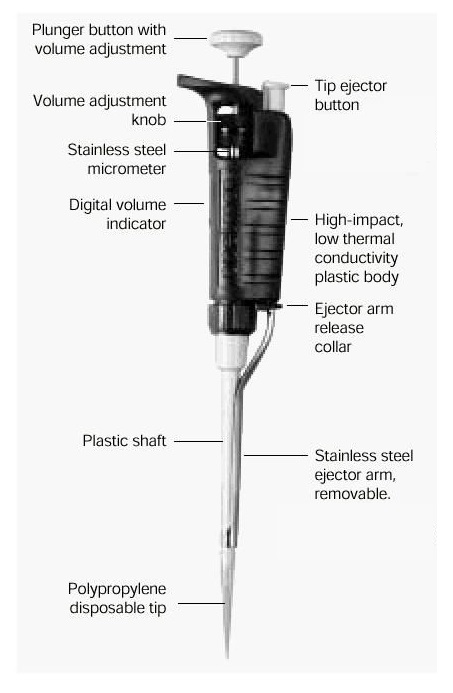 Parts of a micropipette