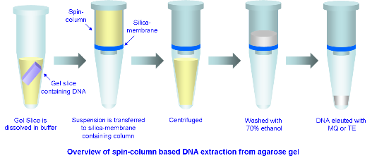 Column span